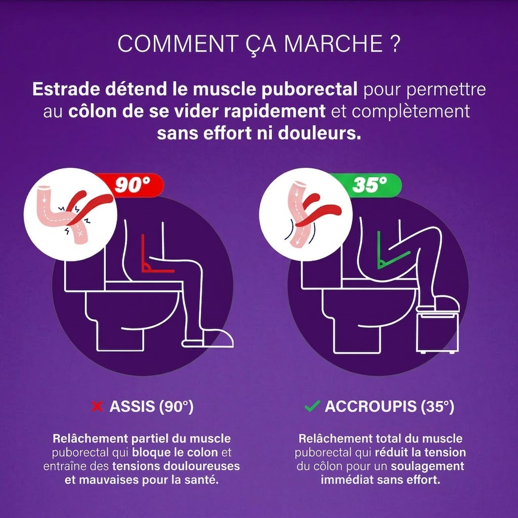 Tabouret Physiologique